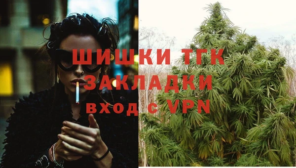 СК Гусь-Хрустальный