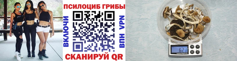 Галлюциногенные грибы ЛСД KRAKEN tor Кодинск