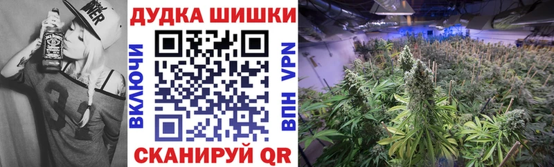 hydra ССЫЛКА  купить закладку  Кодинск  Канабис OG Kush 